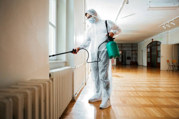 Best Insect Control  in Monroe, GA
