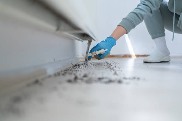 Best Insect Control  in Monroe, GA